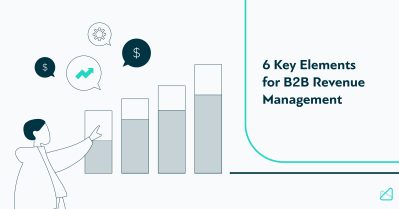 b2b revenue management